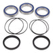 All Balls Racing Wheel Bearing Kit (25-1479)