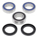 All Balls Racing Wheel Bearing Kit (25-1556)