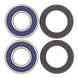 All Balls Racing Wheel Bearing Kit (25-1562)