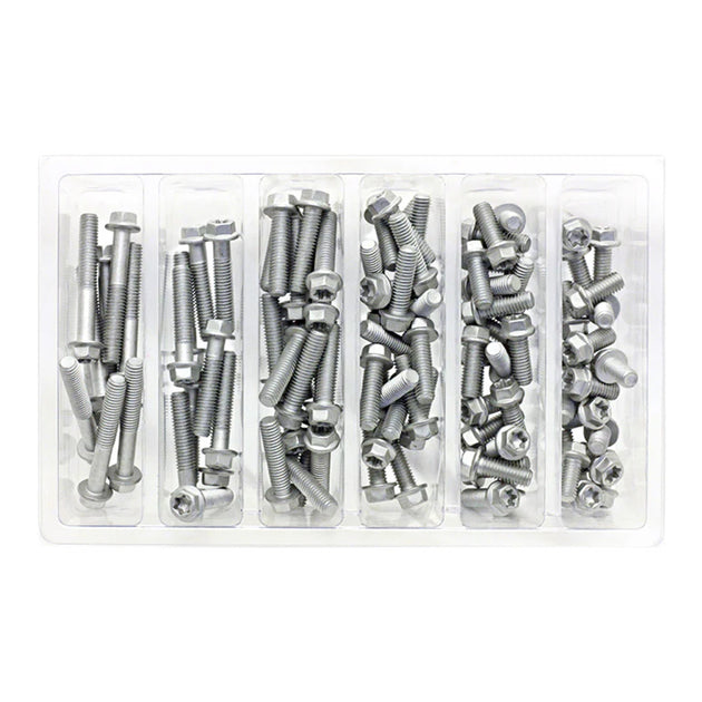 Bolt Workshop Service Kit: M6 Euro Torx Bolt