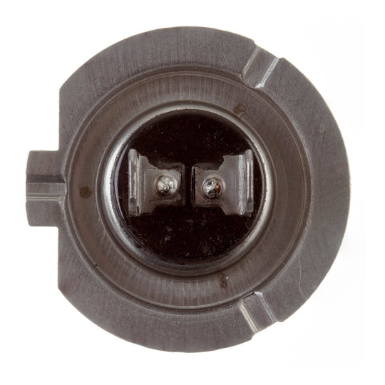 Whites Bulbs 12V 55w H/L H7 Halogen (ea)