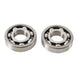 Main Bearing and Seal Kit