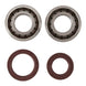 Main Bearing and Seal Kit