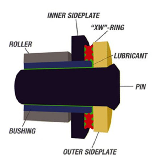 RK 525ZXW XW-Ring Chain - Gold
