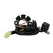 Stator Suzuki RM250 '01-'08 (RMS010-107702)