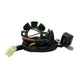Stator Suzuki RM250 '01-'08 (RMS010-107702)