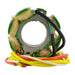 Kit Stator + Pickup Suzuki RM125 / RM250 '94-'01 (RM22843)