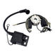 STATOR & MOSFET REG KIT ASSTD KTM RFR FITMEN (RMS900-107608)