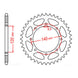 Sprocket Kit for Kawasaki KLR650 (2022–2024) - X-Ring Chain, 15/43