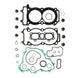 Complete Gasket Set 808969