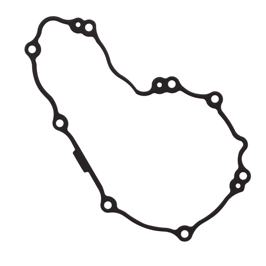 Ignition Cover Gasket Kit 816295