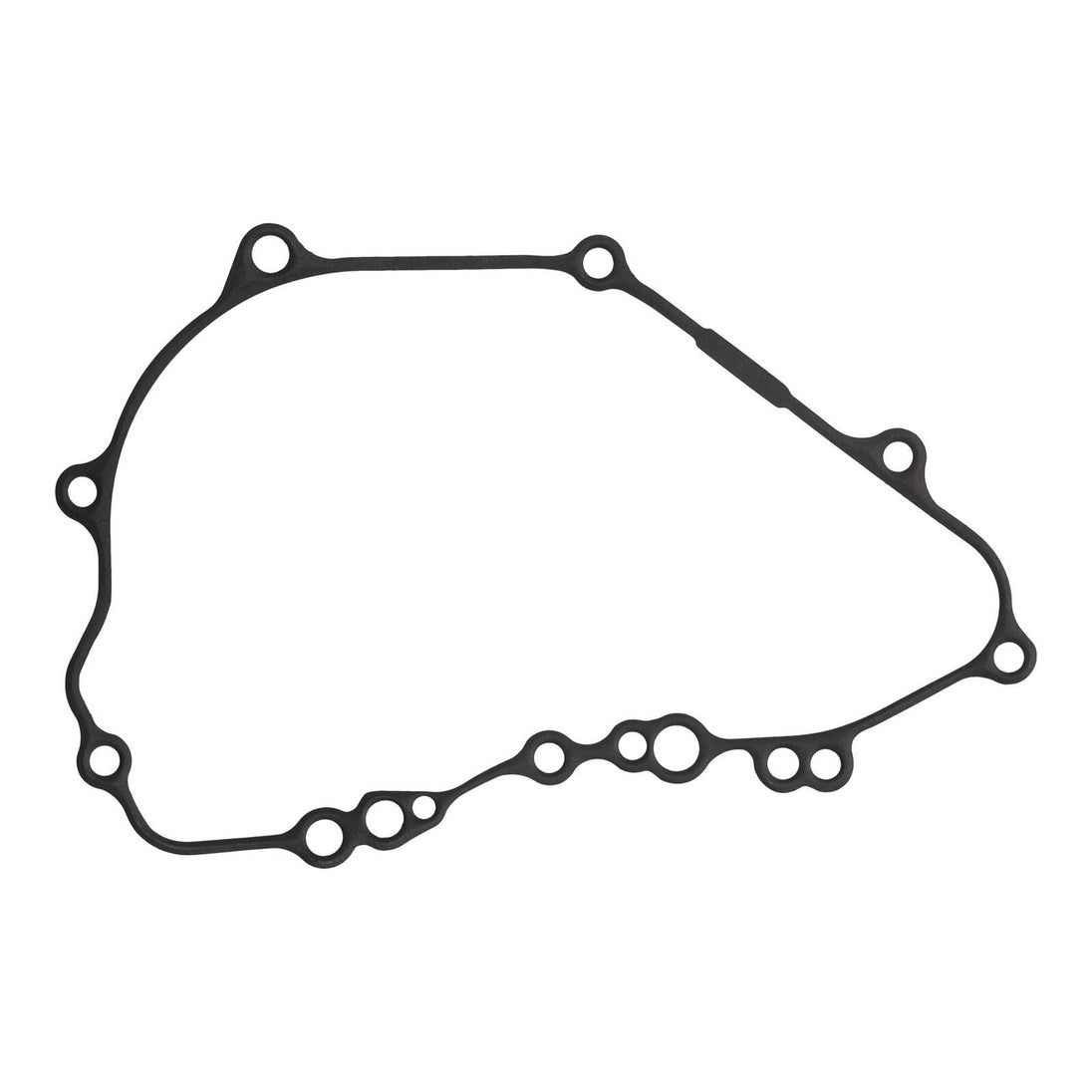 Ignition Cover Gasket Kit 816356