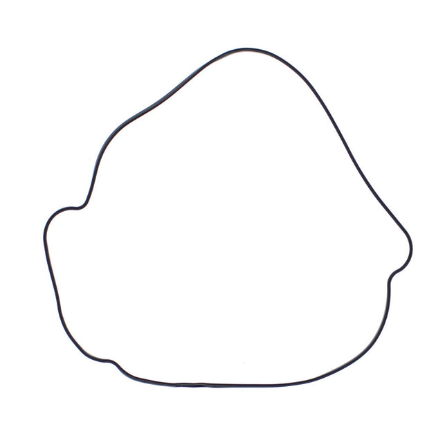 Outer Clutch Gasket Kit 817987