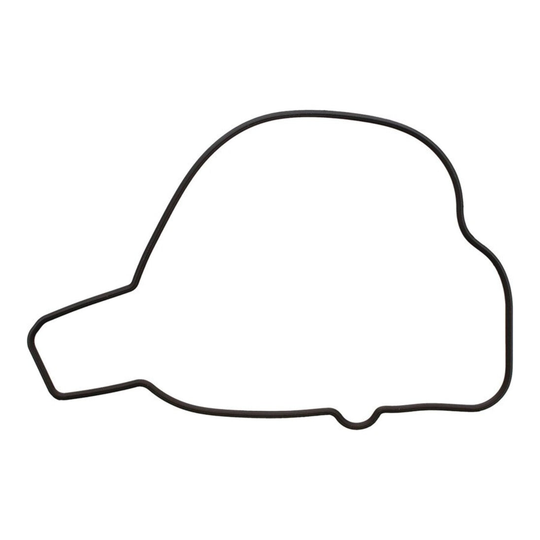 Ignition Cover Gasket Kit 819210