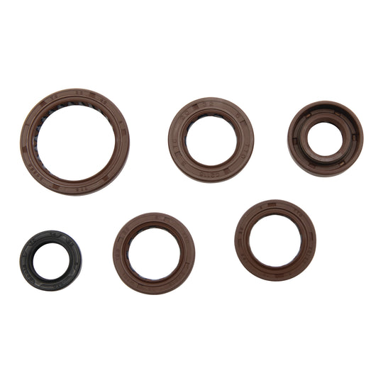 Oil Seal Kit 822367
