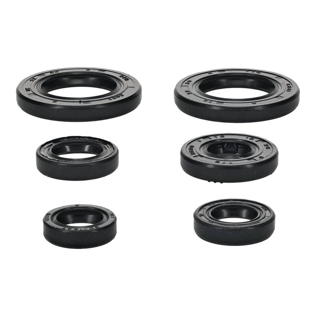 Oil Seal Kit 822391