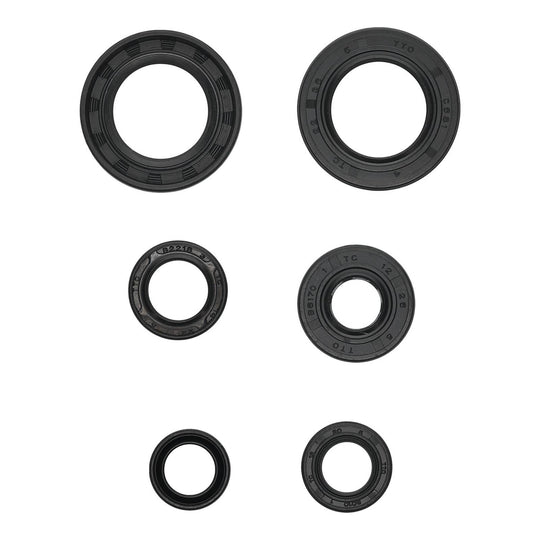 Oil Seal Kit 822391