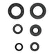 Oil Seal Kit 822391