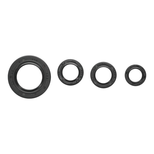 Oil Seal Kit 822395