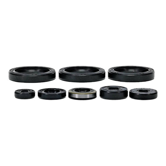 Oil Seal Kit 822403