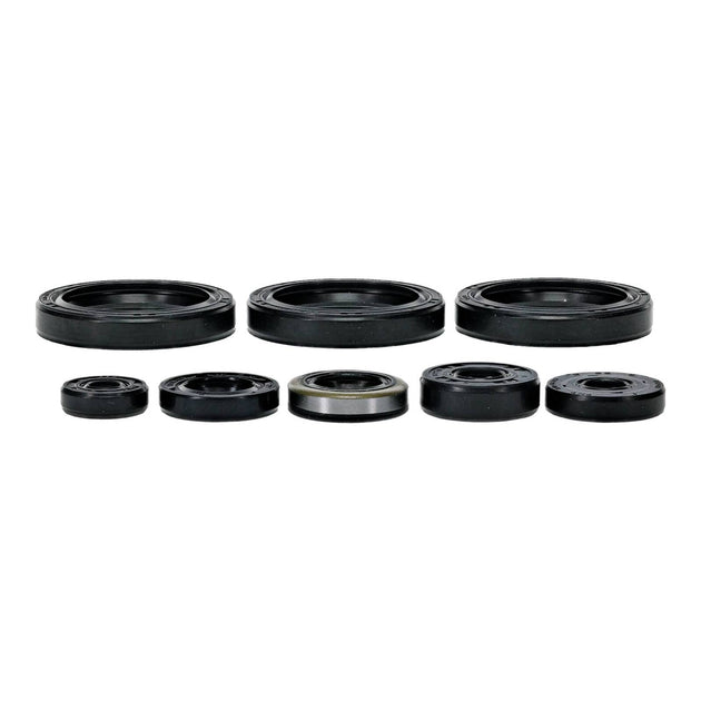 Oil Seal Kit 822403