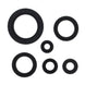 Oil Seal Kit 822978