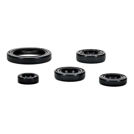 OIL SEAL KIT 822994