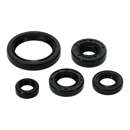 OIL SEAL KIT 822994