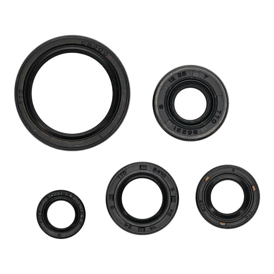 OIL SEAL KIT 822994