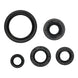 OIL SEAL KIT 822994