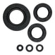 Oil Seal Kit 822997
