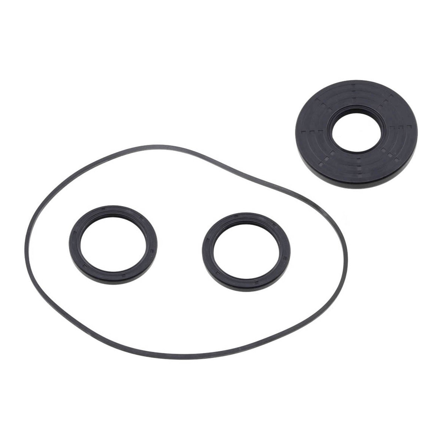 WMP Differential Seal Kit
