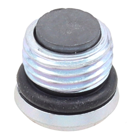Whites Magnetic Drain Plug M10 x 6.9 - P1.0