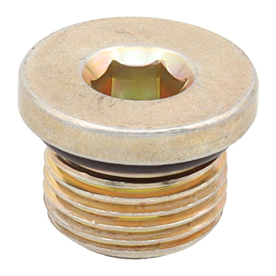Whites Magnetic Drain Plug M18 x 12.4 - P1.5