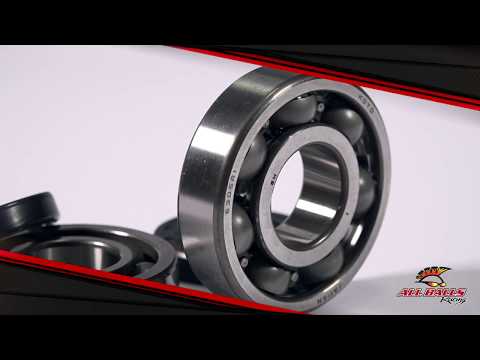 All Balls Racing Crankshaft Bearing Kit (24-1008)
